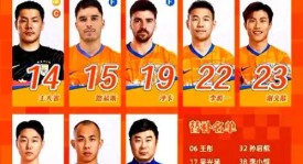 上海申花亚冠困境：外援进球荒与教练续约疑云下的备战挑战