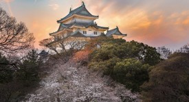 成都蓉城3-0轻松晋级亚冠正赛，三人表现抢眼，全队整体出彩